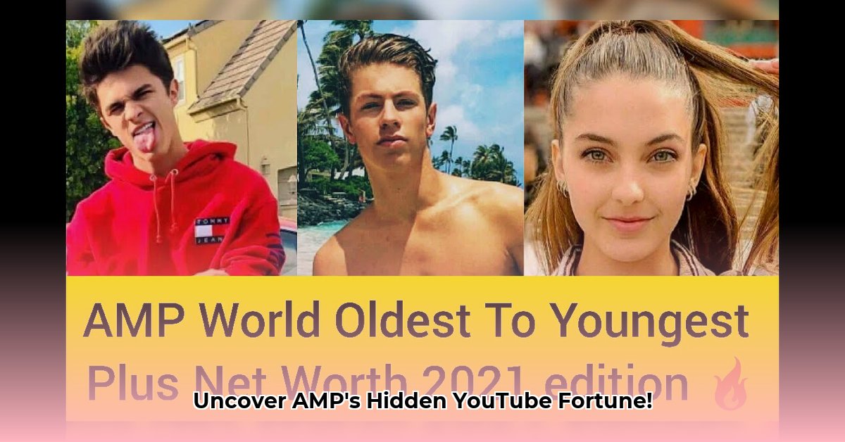 how-much-is-amp-net-worth